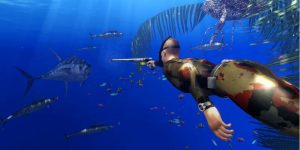 Spear Fishing - A Premier Entertainment Hub Set to Shine in 2024